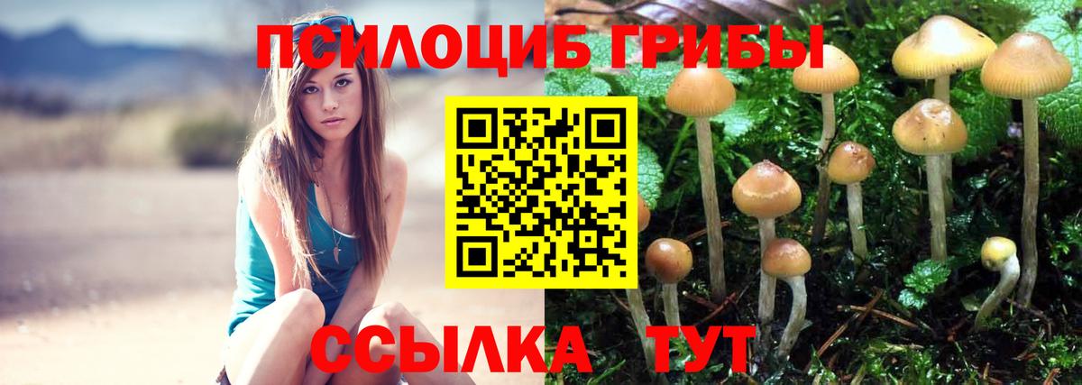 Добрянка  Галлюциногенные грибы Cubensis  Вход с VPN 